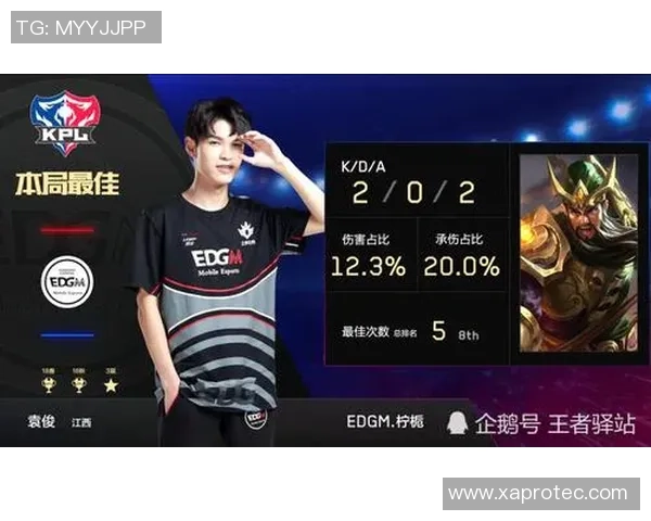 TES战队防守体系解析王者荣耀战术的深度剖析与应用技巧 TES战队防守体系解析王者荣耀战术的深度剖析与应用技巧